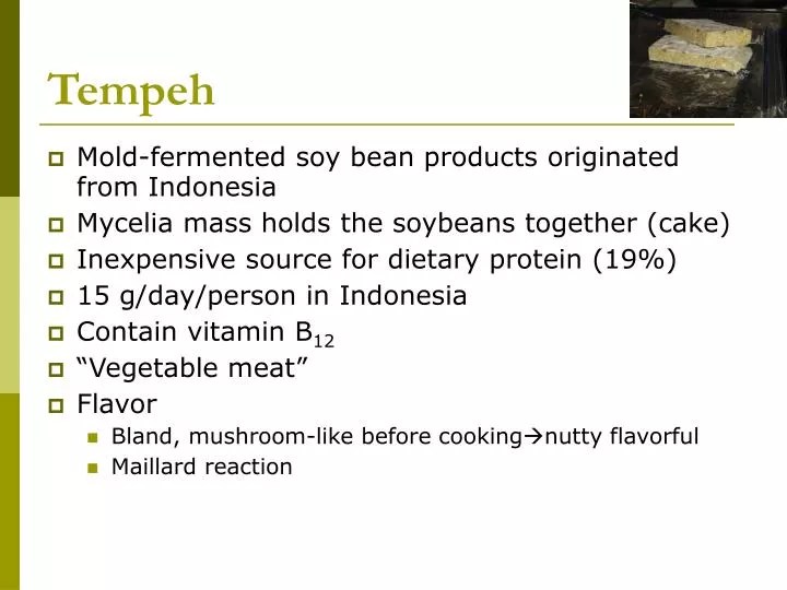 PPT Tempeh PowerPoint Presentation, free download ID690287