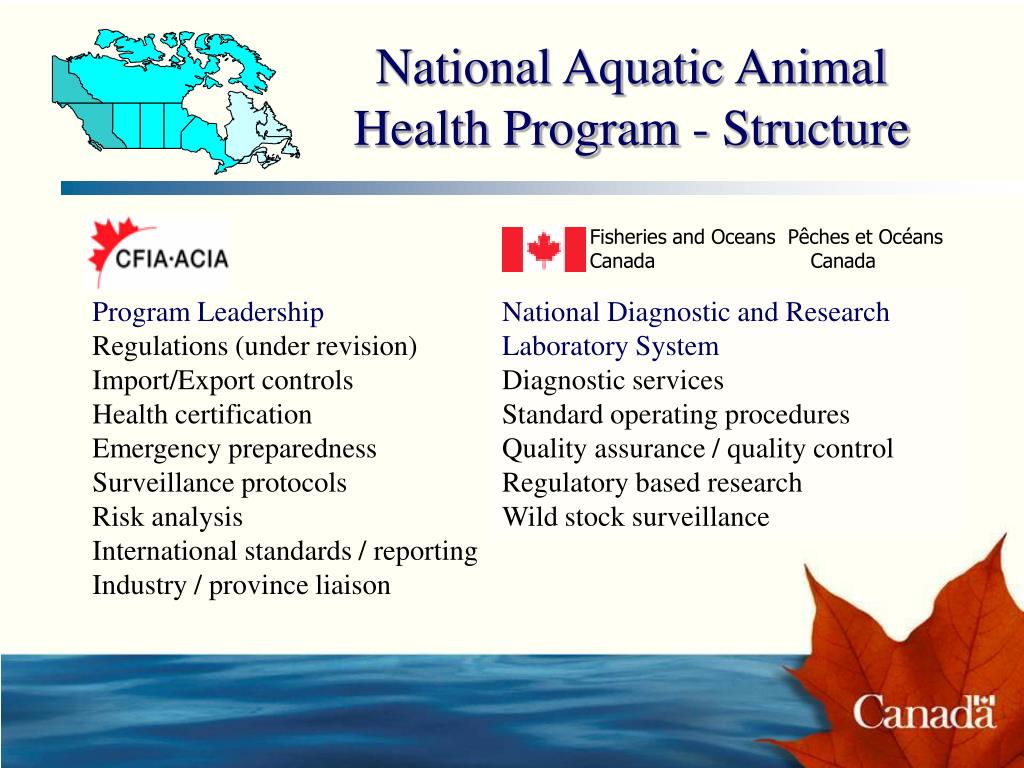 PPT Canada’s Aquatic Animal Health Program PowerPoint Presentation