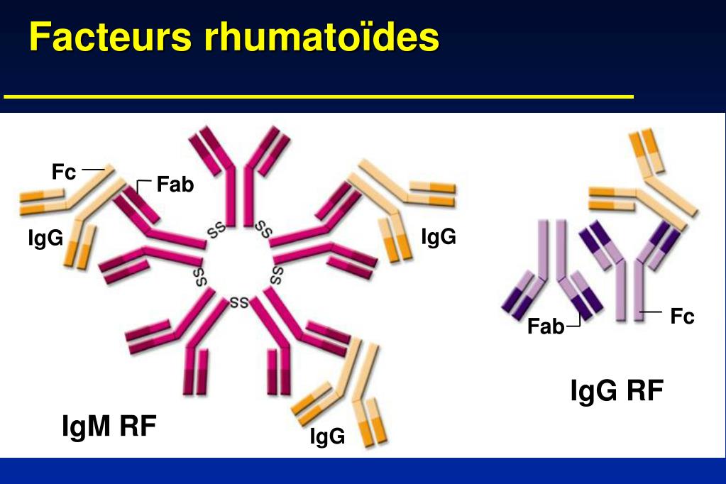 PPT Module Immunopathologie Réaction inflammatoire Auto