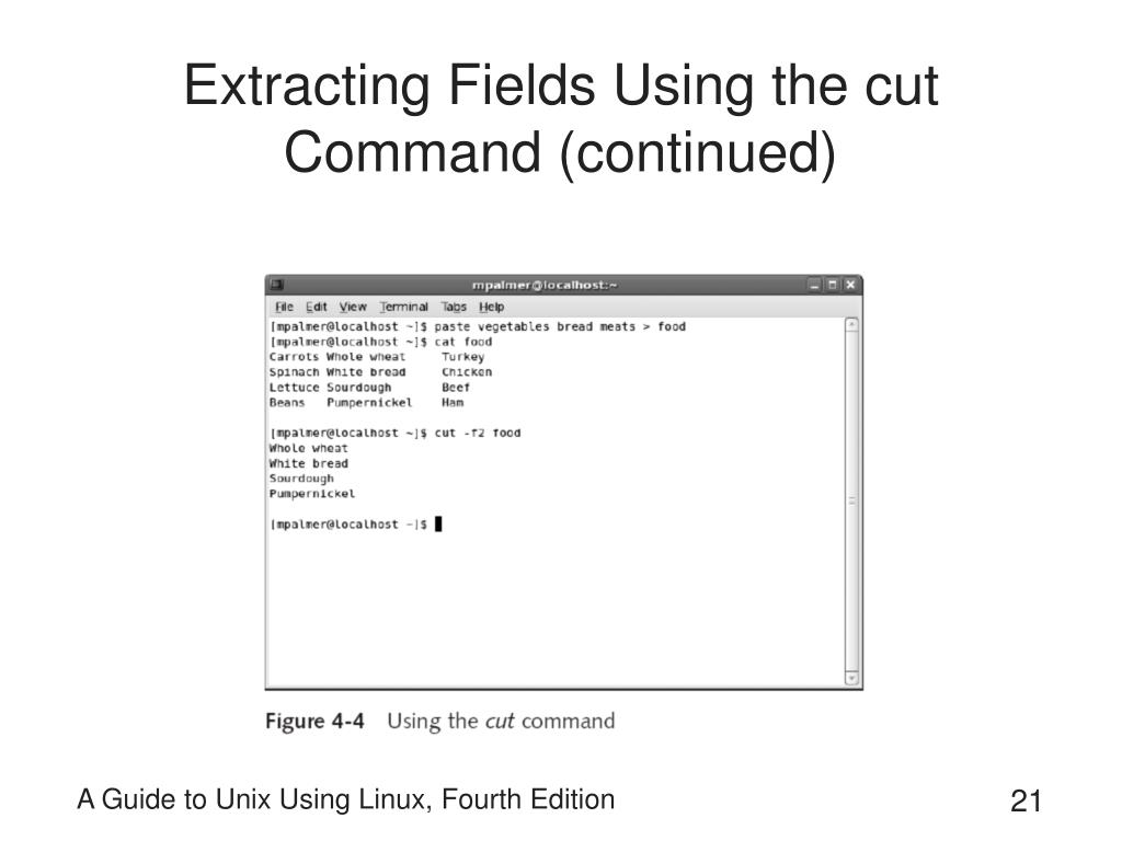 PPT A Guide to Unix Using Linux Fourth Edition PowerPoint
