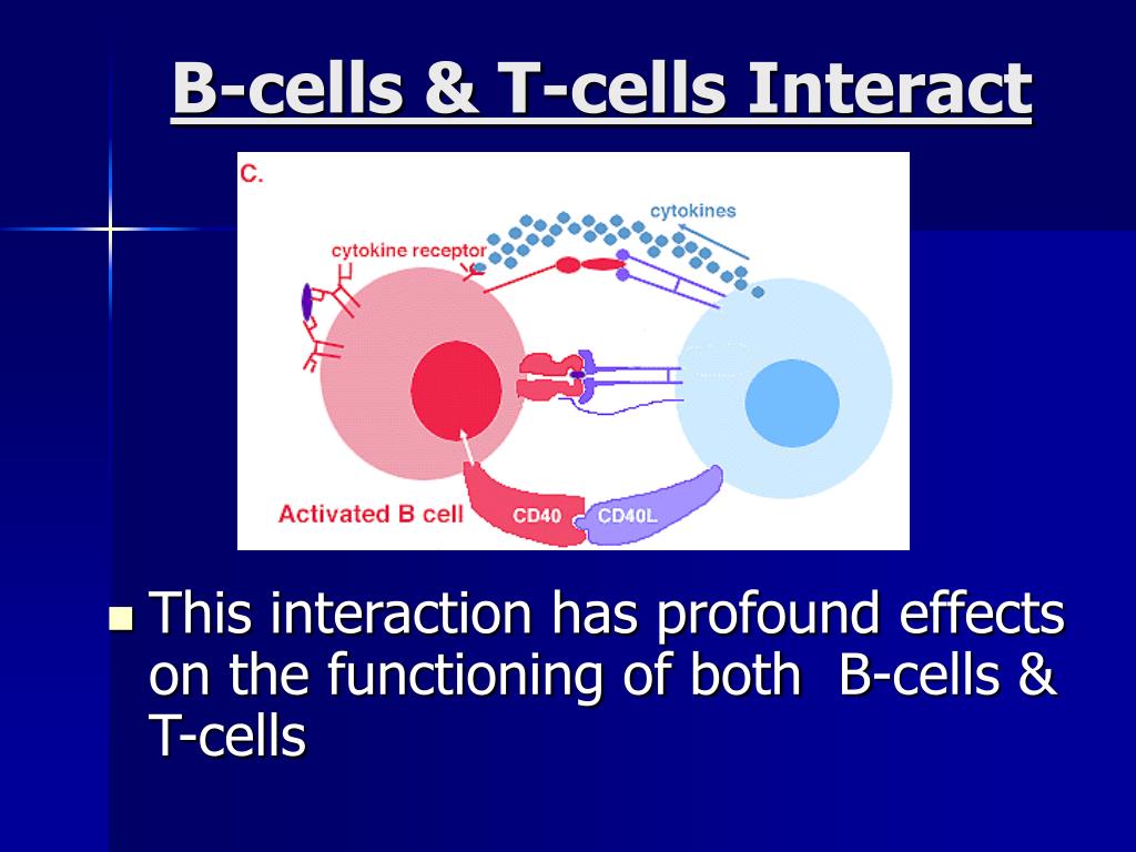 PPT Rituximab (RITUXAN) & Multiple Sclerosis PowerPoint Presentation