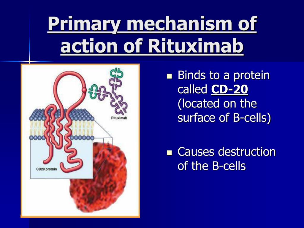 PPT Rituximab (RITUXAN) & Multiple Sclerosis PowerPoint Presentation