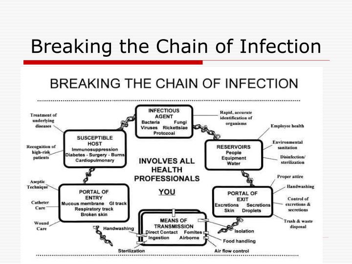 PPT Asepsis and Infection Control PowerPoint Presentation ID702996