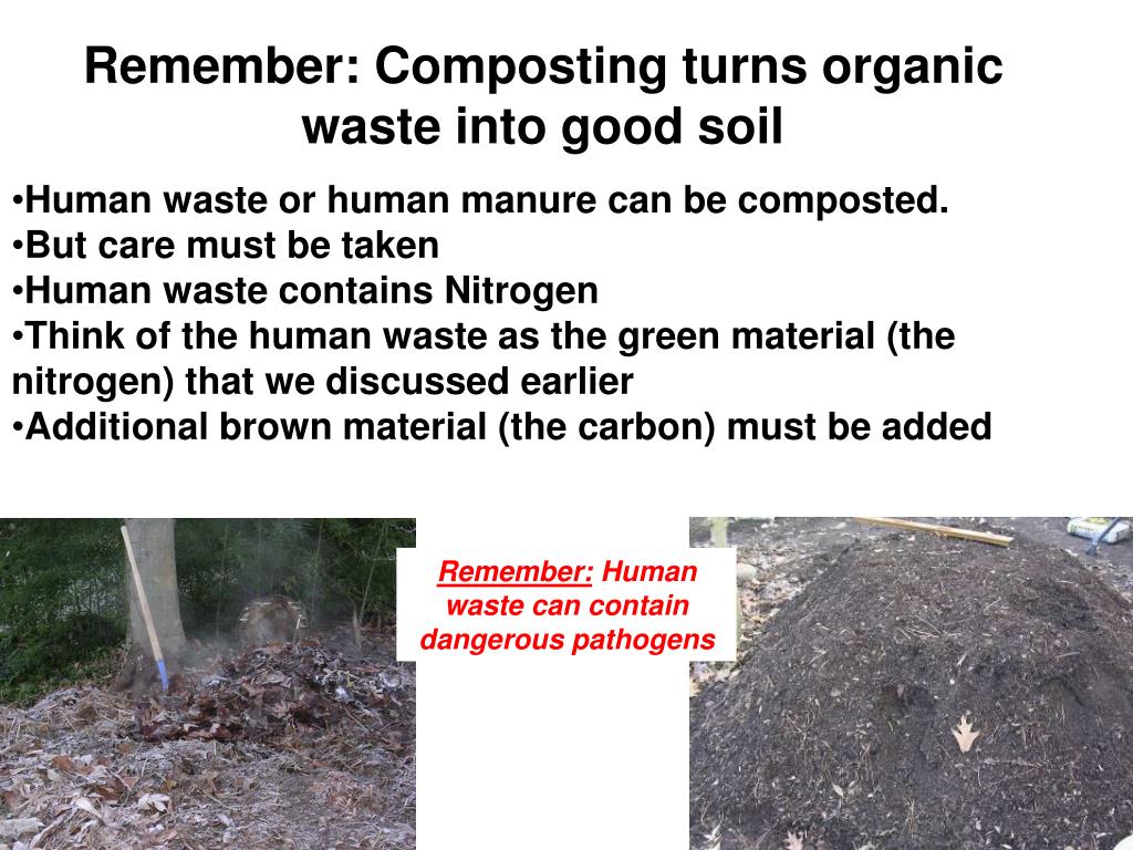 PPT Human Waste Introduction to Composting Toilets PowerPoint