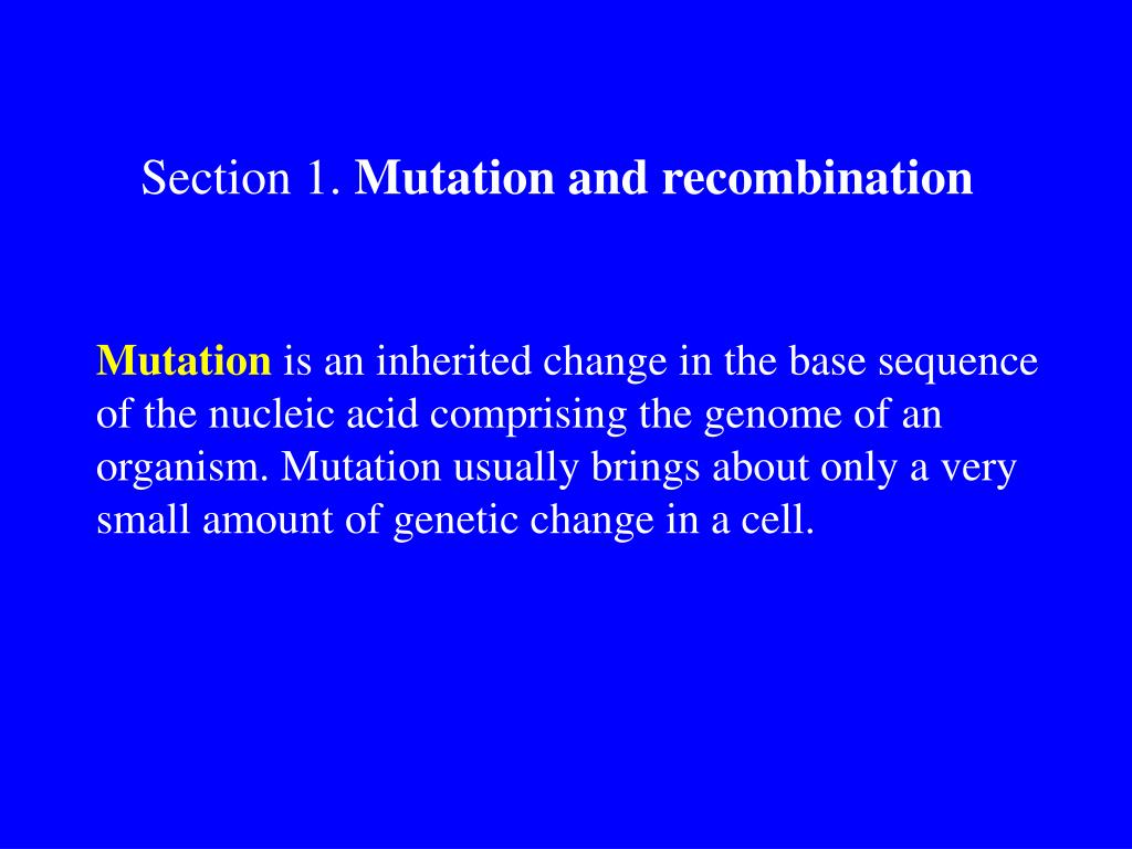 PPT Bacterial PowerPoint Presentation, free download ID709336