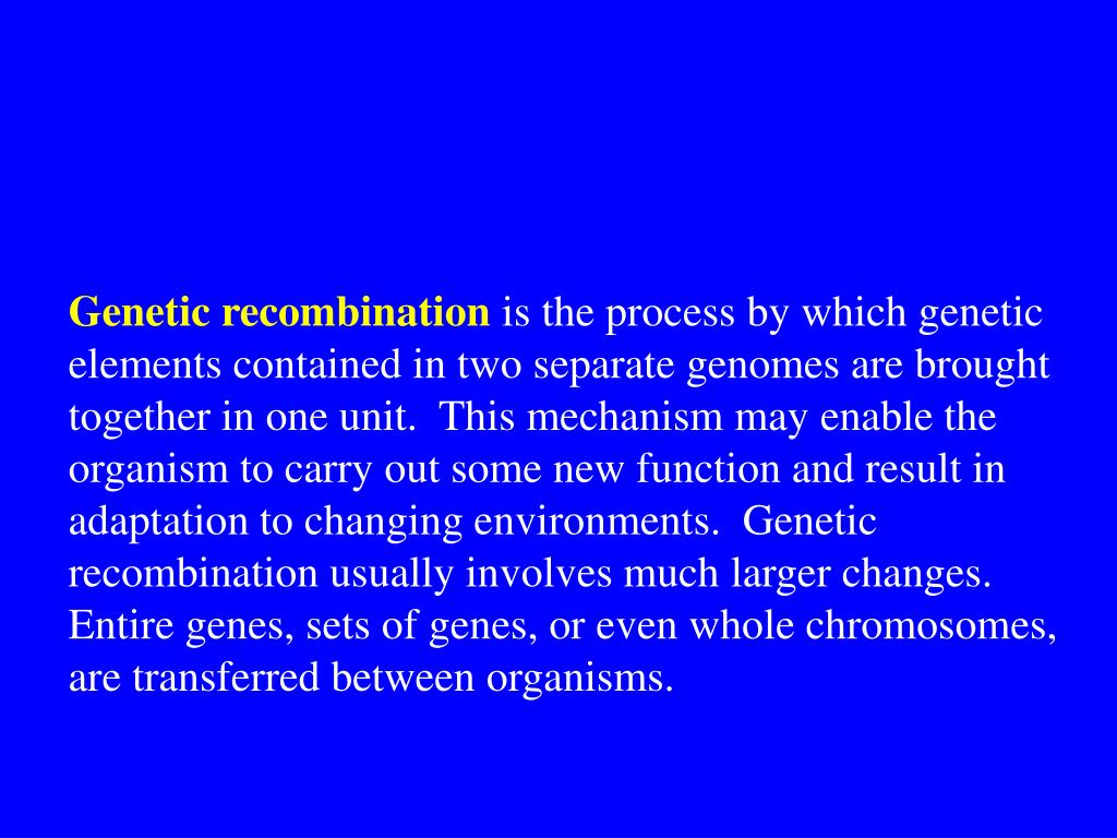 PPT Bacterial PowerPoint Presentation, free download ID709336