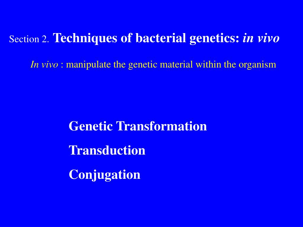 PPT Bacterial PowerPoint Presentation, free download ID709336
