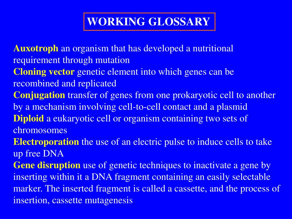 PPT Bacterial PowerPoint Presentation, free download ID709336