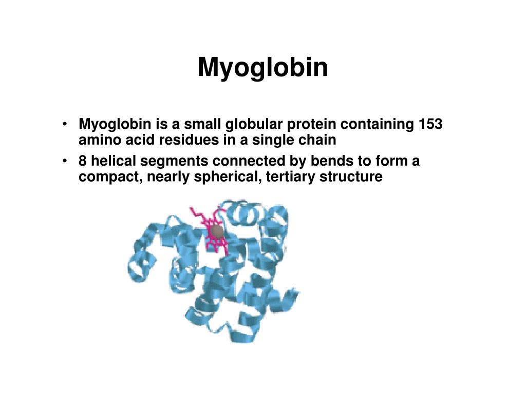 PPT Chapter 26Biomolecules Amino Acids, Peptides, and Proteins