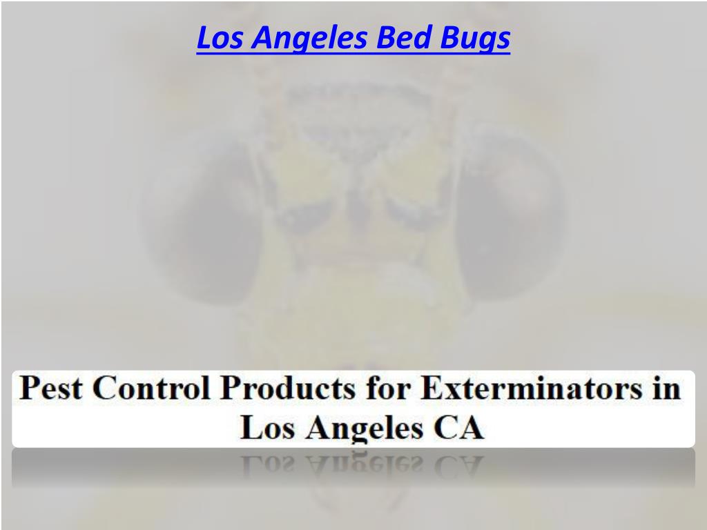 PPT Bed Bugs Los Angeles Exterminator PowerPoint Presentation, free