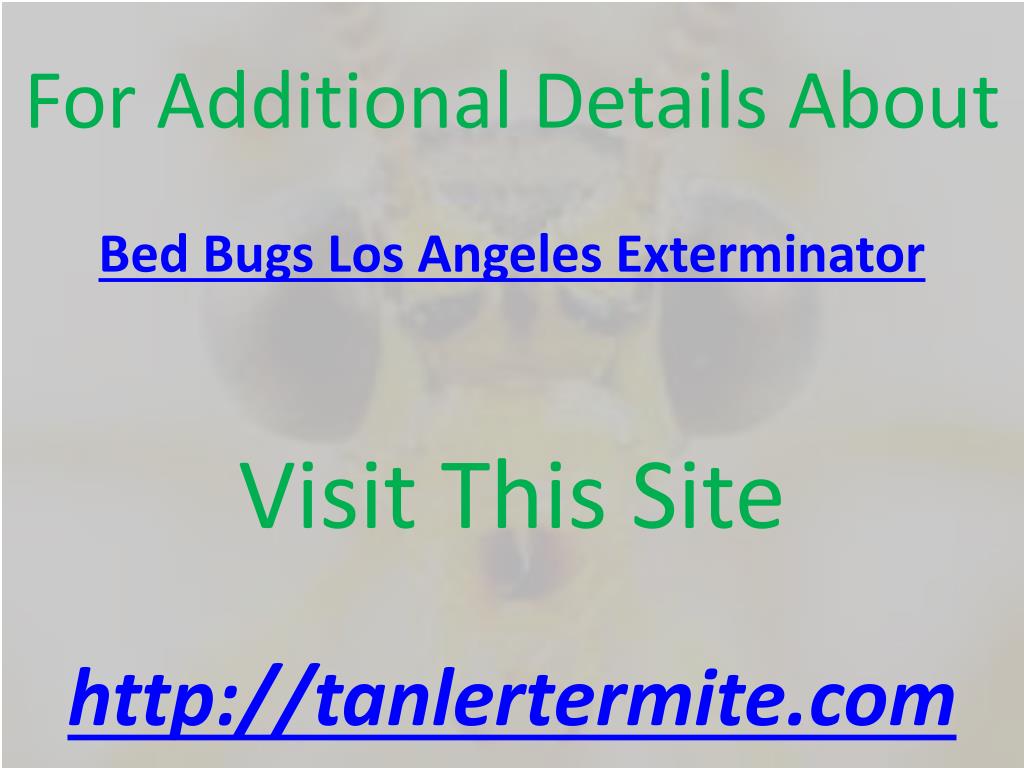 PPT Bed Bugs Los Angeles Exterminator PowerPoint Presentation, free