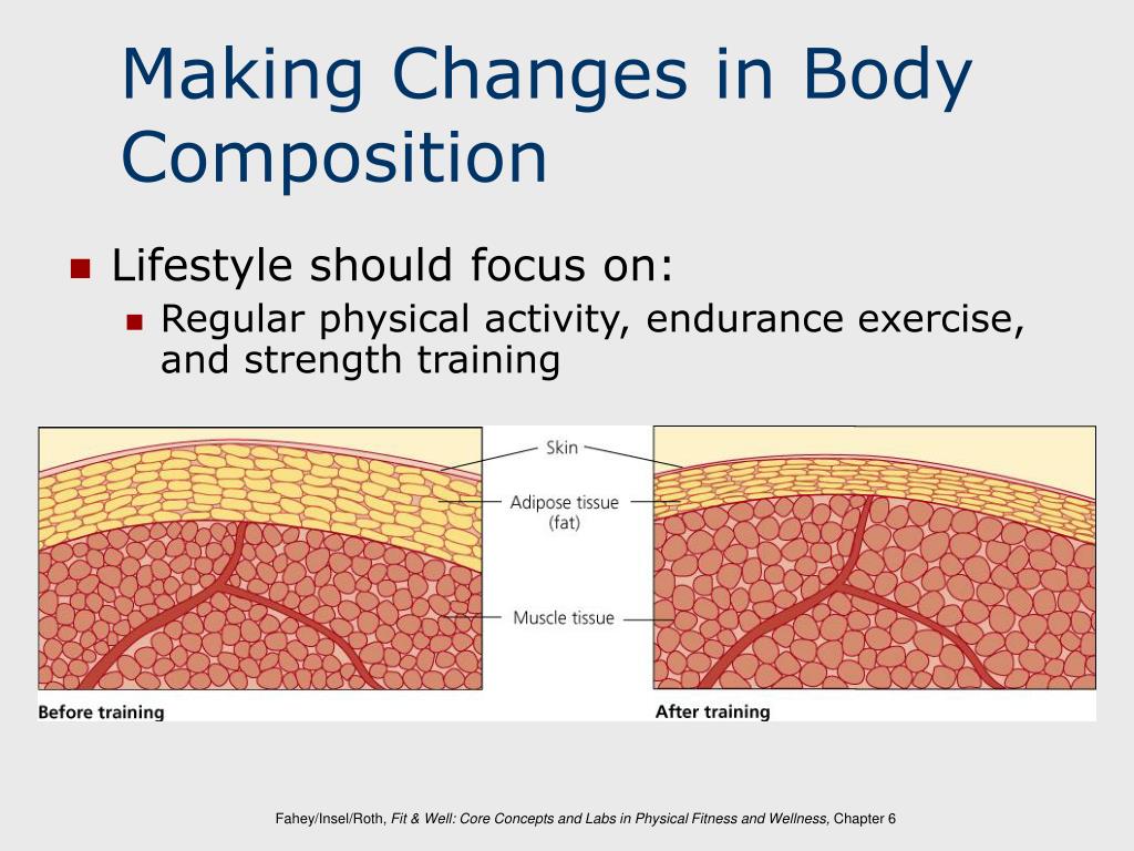 PPT Body Composition PowerPoint Presentation, free download ID719845