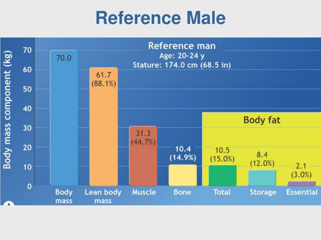 PPT Body Composition PowerPoint Presentation, free download ID719845
