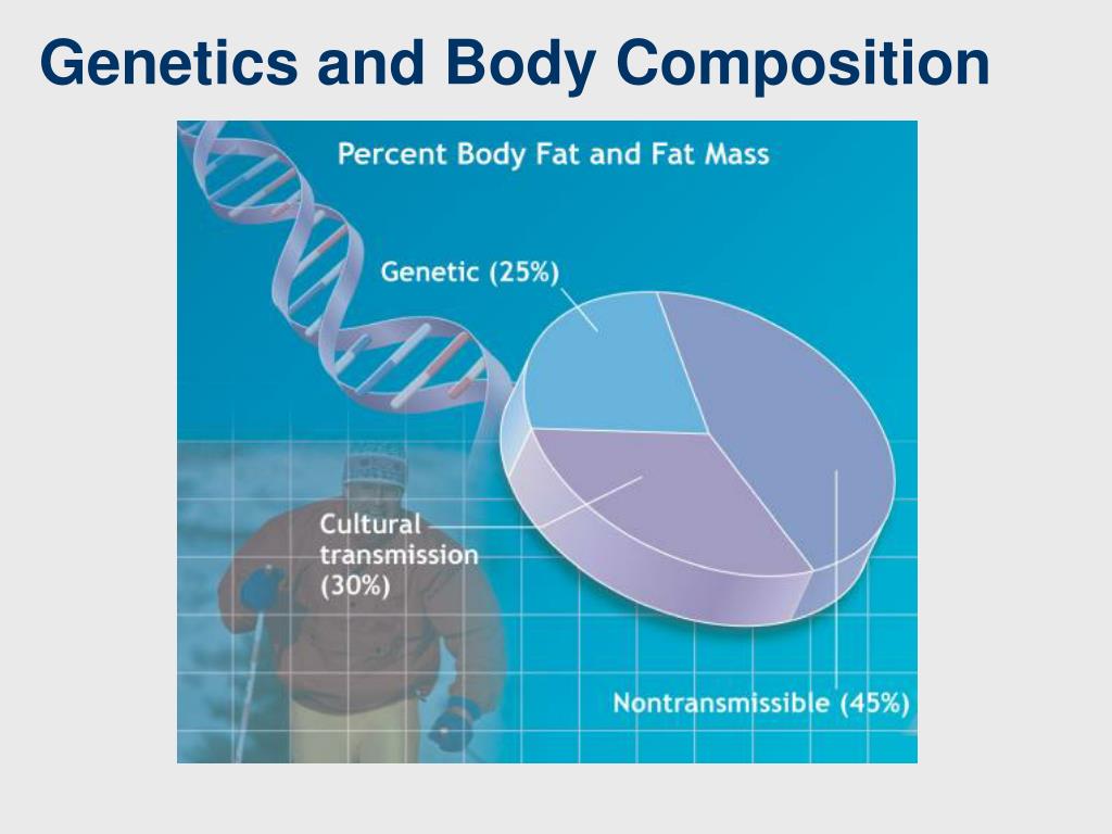 PPT Body Composition PowerPoint Presentation, free download ID719845
