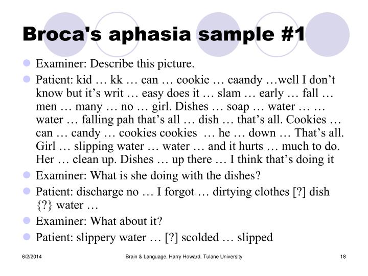 PPT Wernicke’s & Broca's aphasia PowerPoint Presentation ID720105
