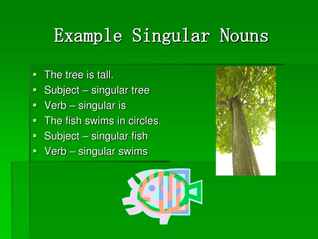 PPT Nouns PowerPoint Presentation, free download ID721821