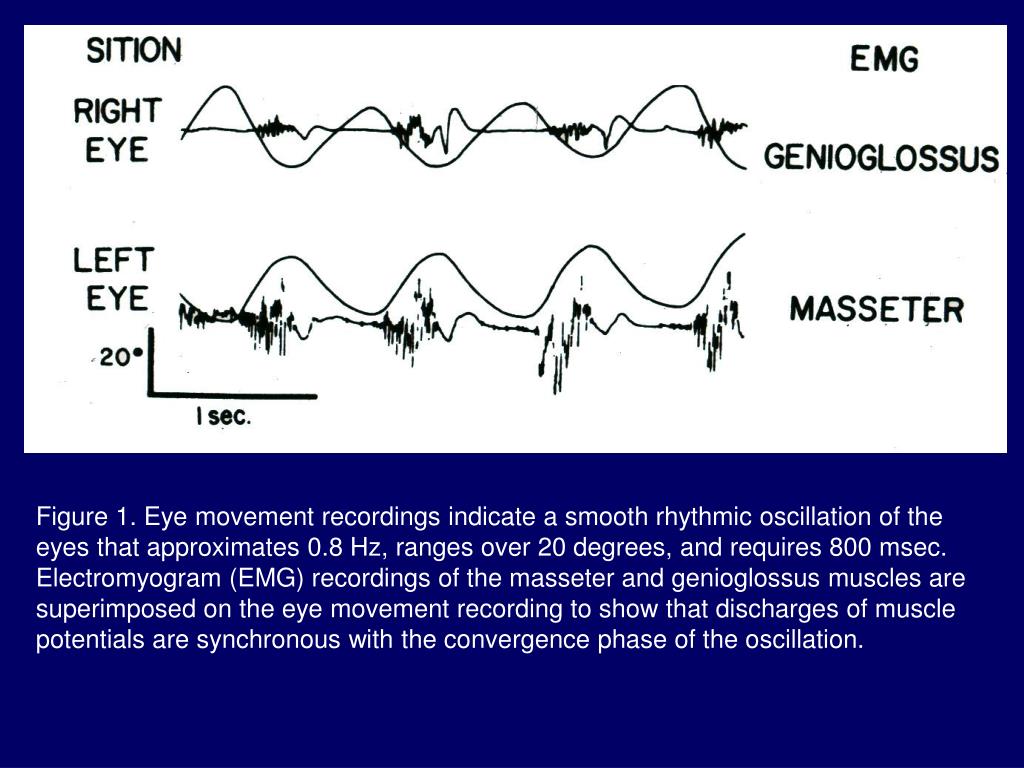 PPT Pendular Vertical Oscillations PowerPoint Presentation ID726846
