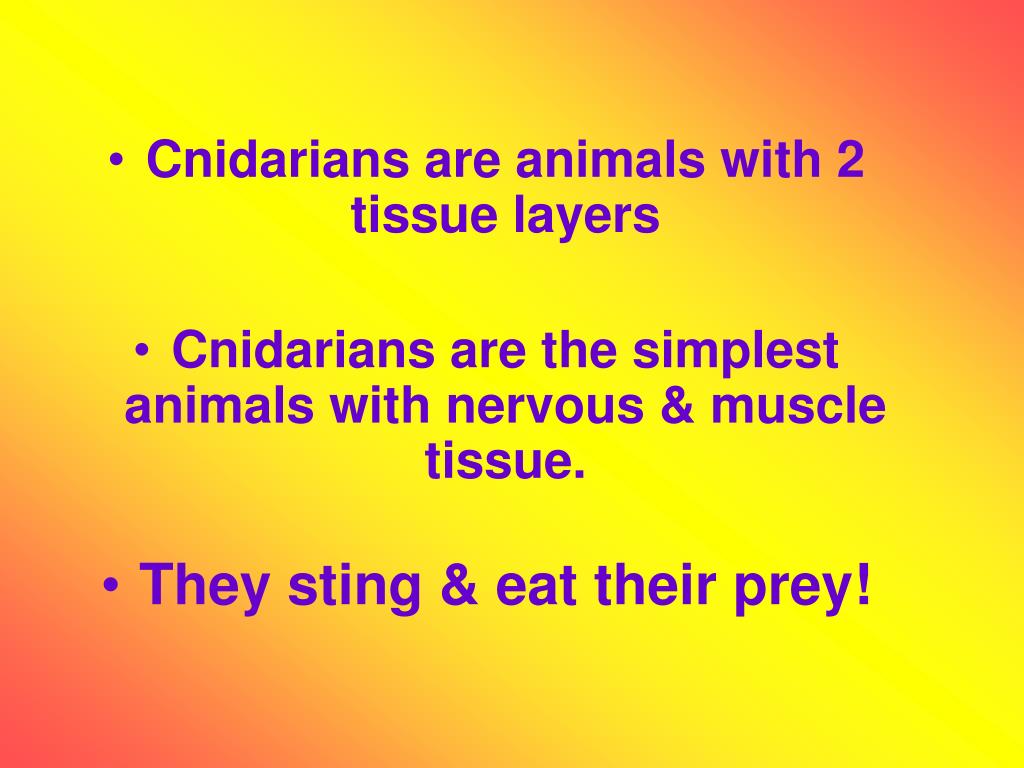 PPT The Simplest Animals PowerPoint Presentation, free download ID