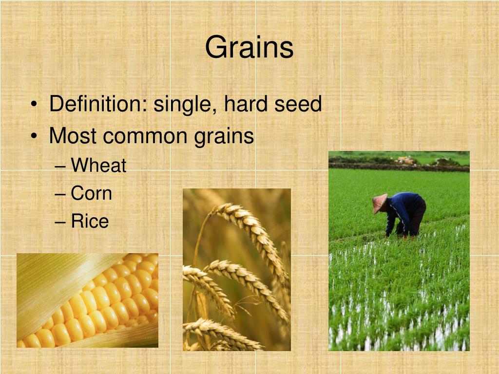 PPT Grains, Pasta, Rice PowerPoint Presentation, free download ID