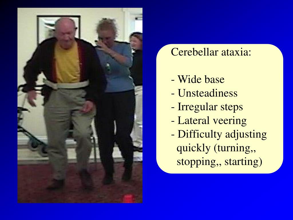 PPT Normal and Pathological Gait in the Elderly PowerPoint