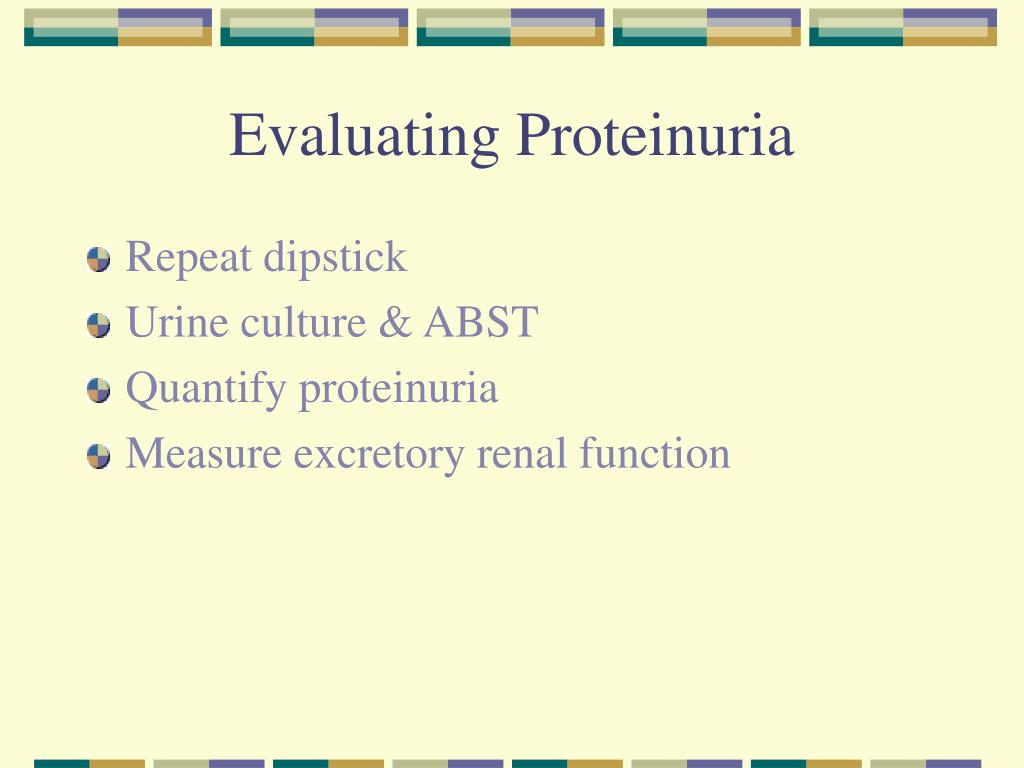 PPT Proteinuria in the Diagnosis & Management of Kidney Disease