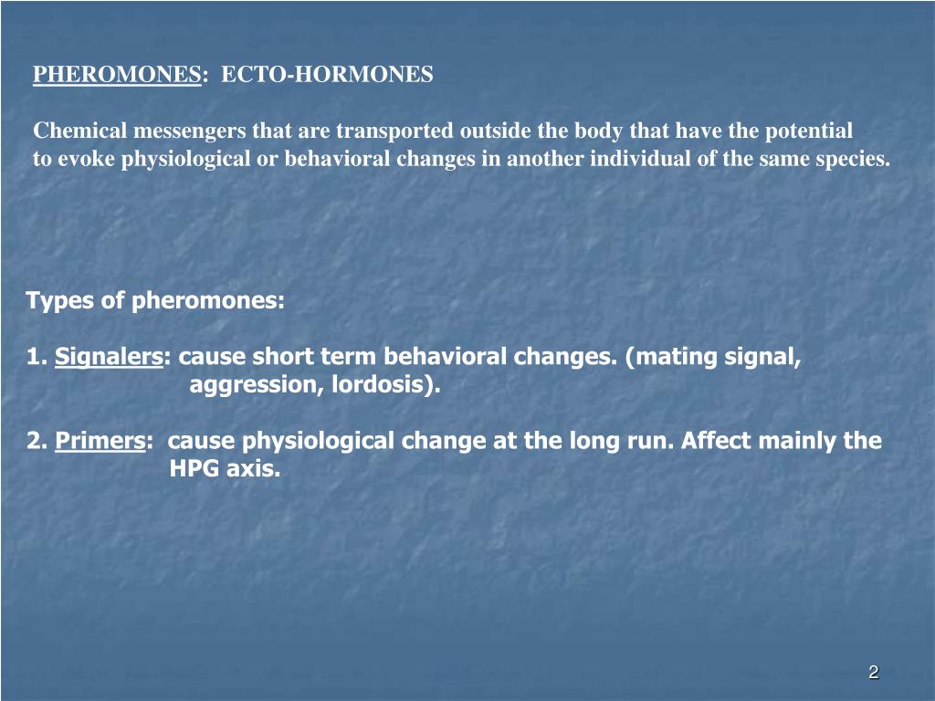 PPT PHEROMONES AND THE MENSTRUAL/ESTRUS CYCLE PowerPoint Presentation