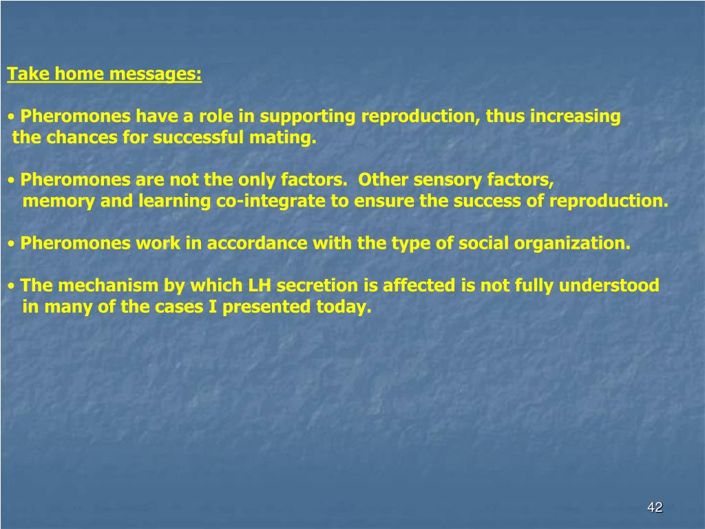 PPT PHEROMONES AND THE MENSTRUAL/ESTRUS CYCLE PowerPoint Presentation