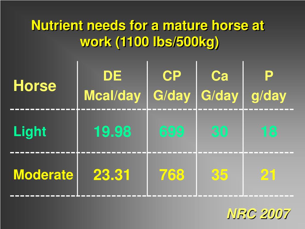 PPT Feeding Pleasure Horses PowerPoint Presentation, free download ID734166
