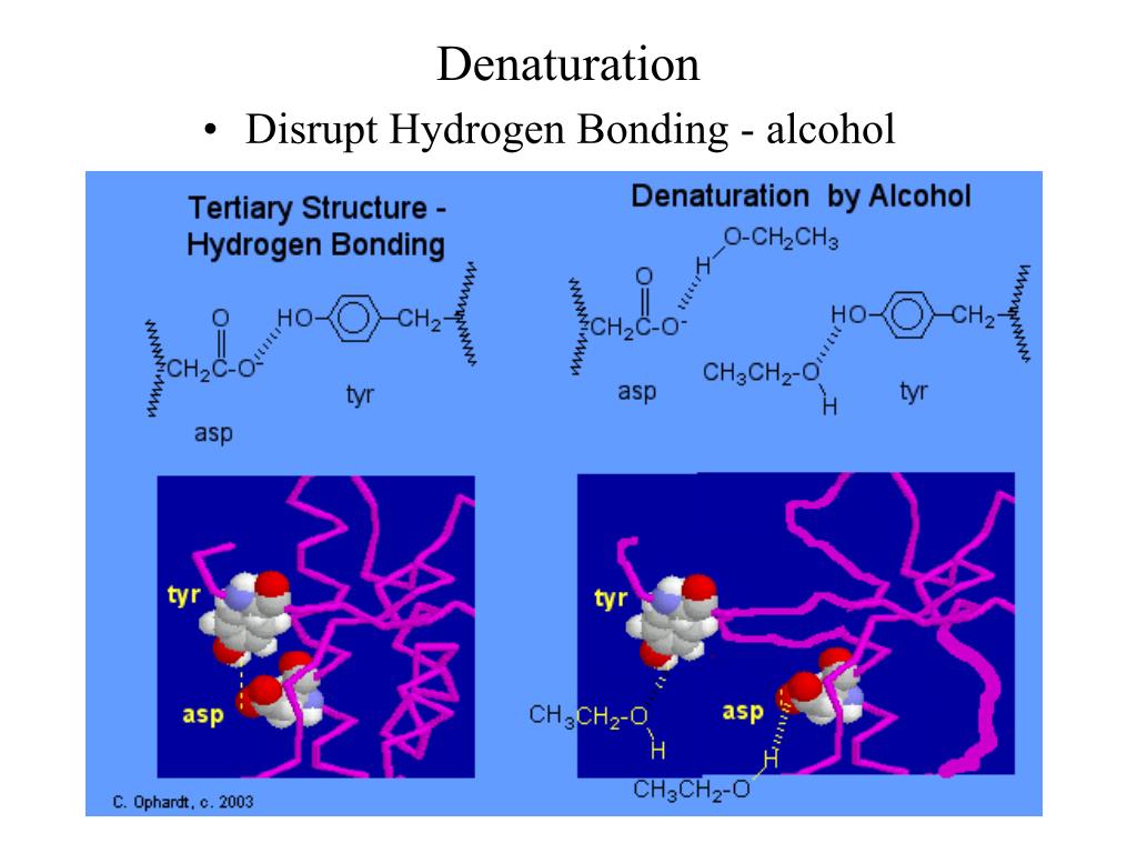 PPT Proteins Structures PowerPoint Presentation, free download ID