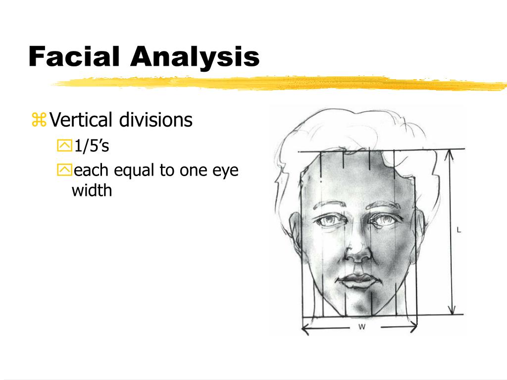 PPT Preoperative Evaluation of the Aesthetic Patient PowerPoint