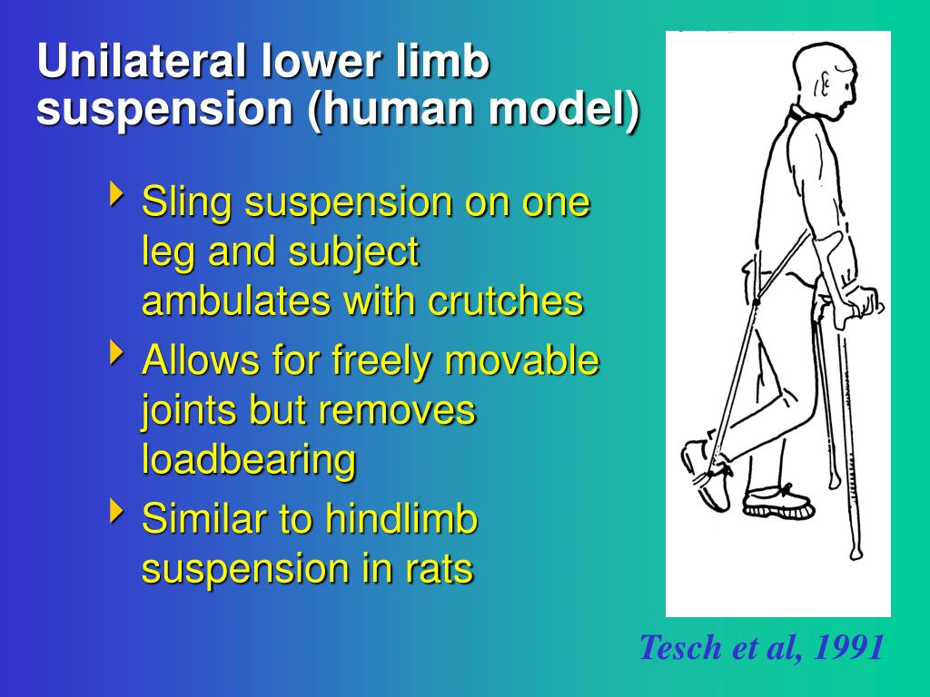 PPT Principles of Exercise Prescription in Rehabilitation PowerPoint