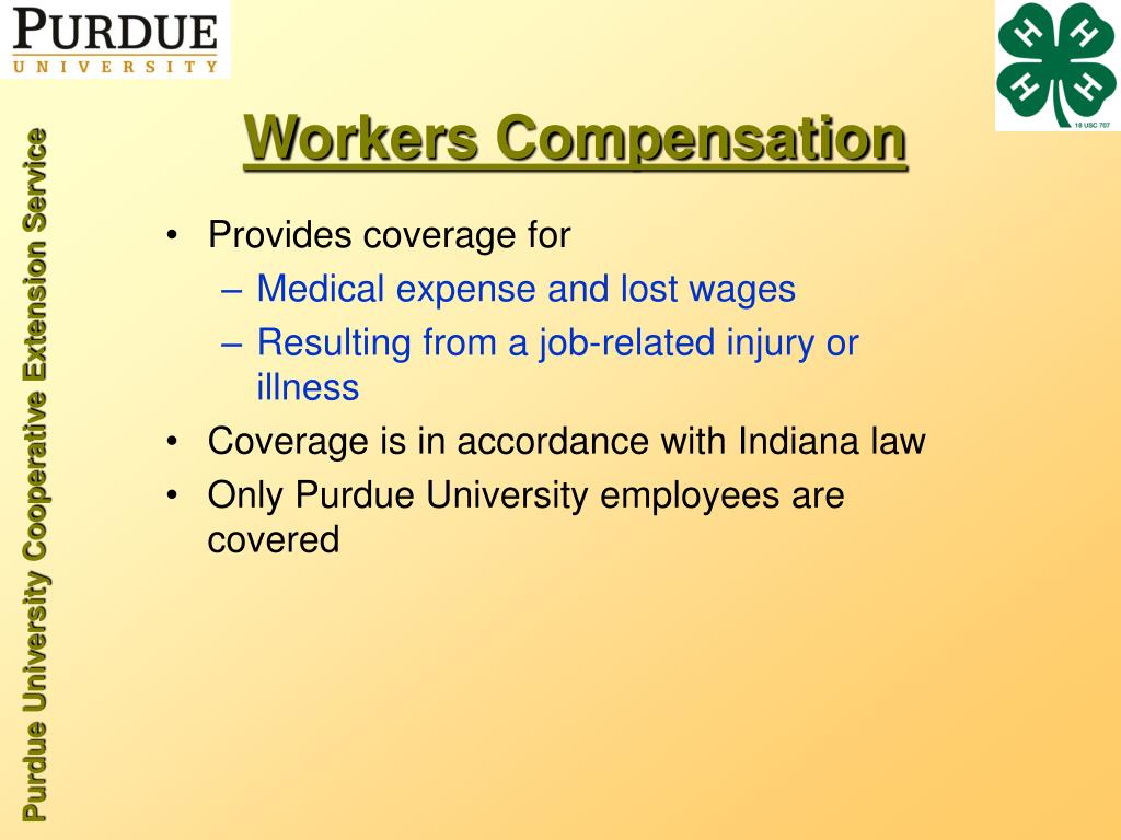 PPT Liability and Insurance for Volunteers PowerPoint Presentation