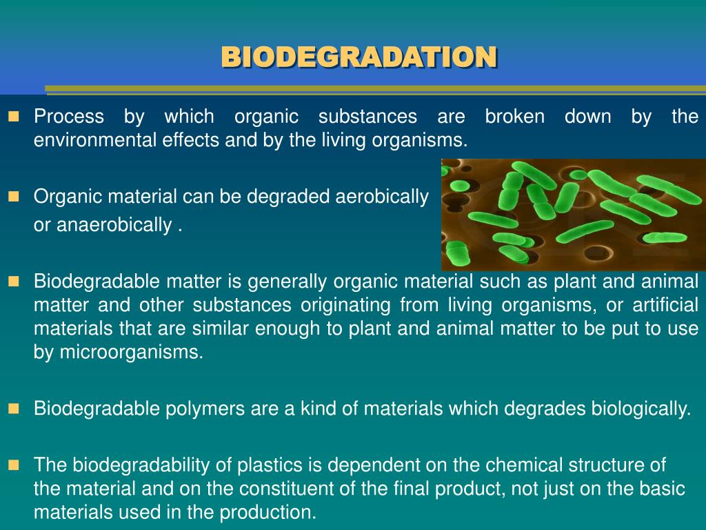 PPT MANUFACTURING OF BIODEGRADABLE POLYETHYLENE PowerPoint