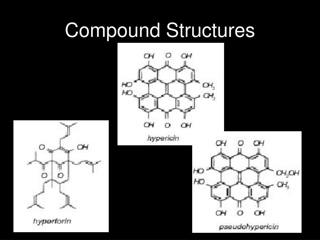 PPT St. John’s Wort PowerPoint Presentation, free