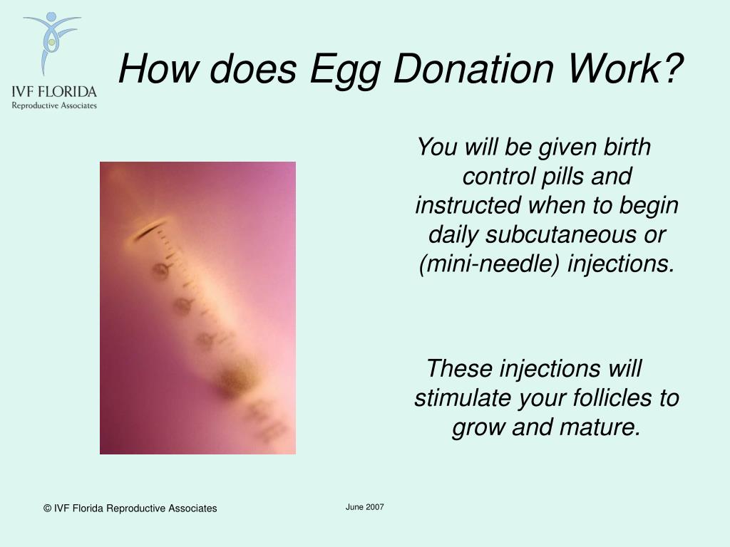 PPT to IVF FLORIDA Reproductive Associates PowerPoint