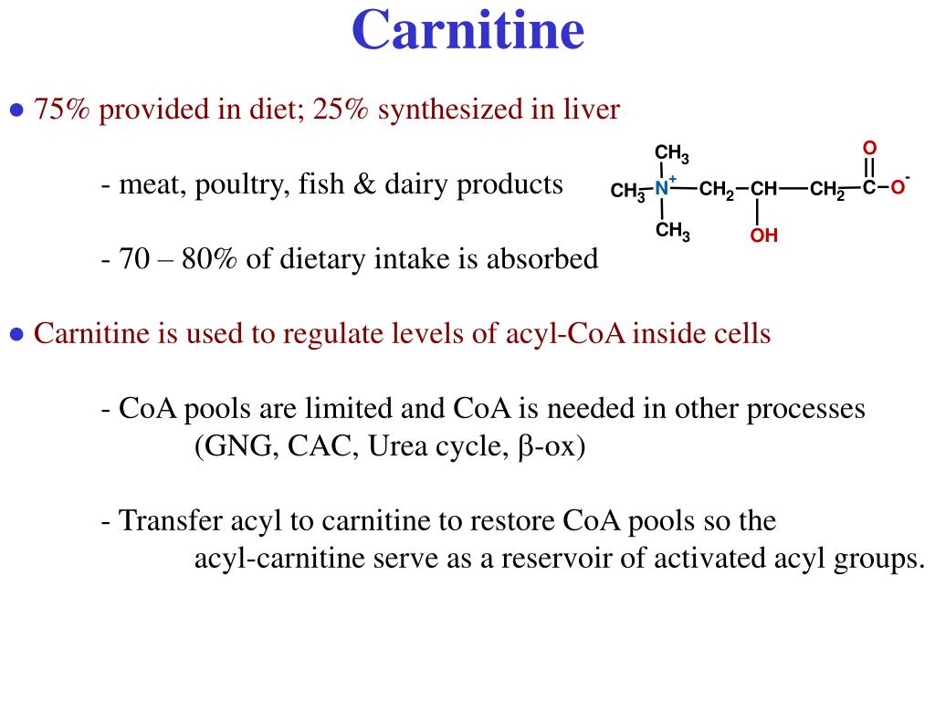PPT Carnitine Transport Deficiencies PowerPoint Presentation, free