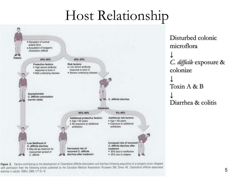PPT What’s All the Fuss About Clostridium difficile ? PowerPoint