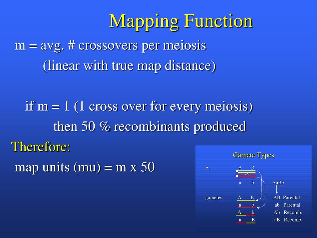 PPT Download Lab. Handouts PowerPoint Presentation, free download ID746626