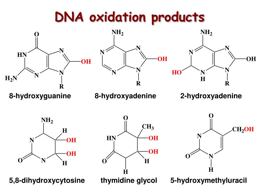 PPT Reactive Oxygen Species PowerPoint Presentation, free download