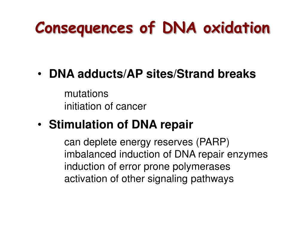 PPT Reactive Oxygen Species PowerPoint Presentation, free download