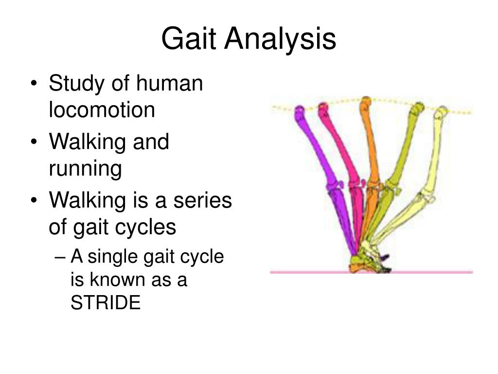 PPT Gait Analysis PowerPoint Presentation, free download ID753931