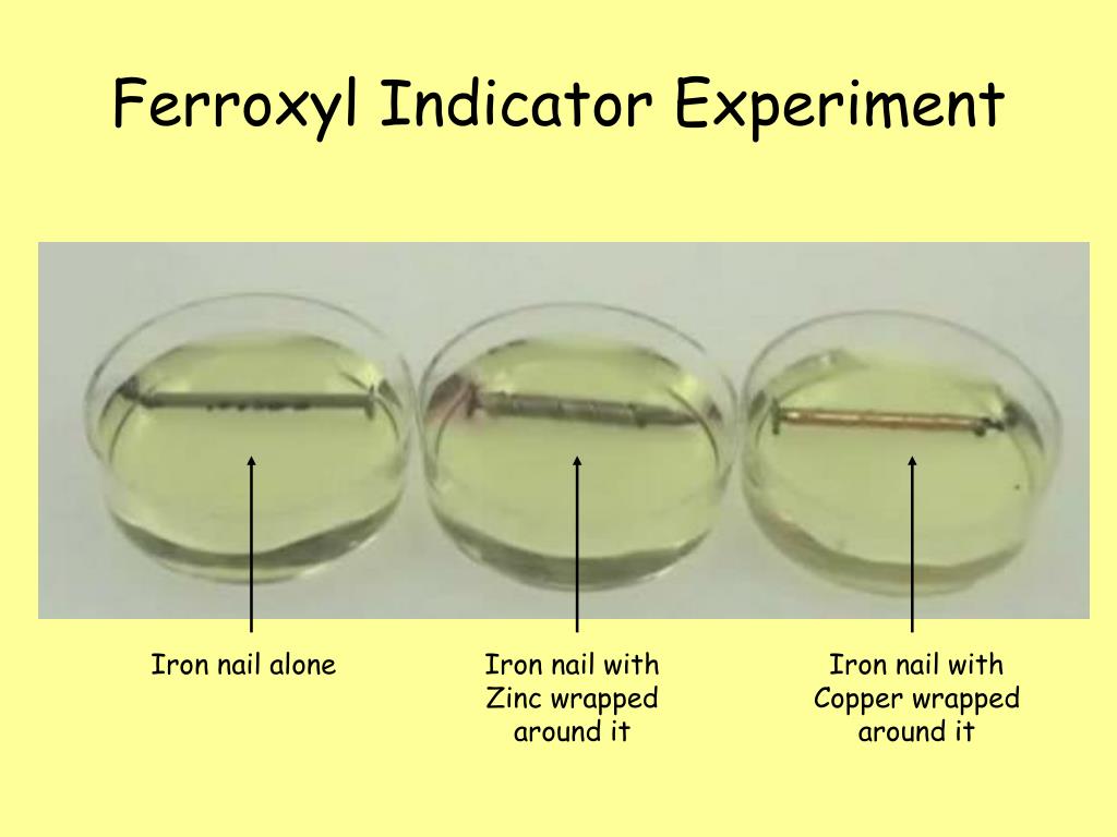PPT Ferroxyl Indicator Experiment PowerPoint Presentation, free