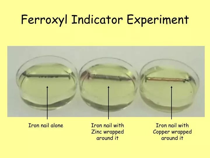PPT Ferroxyl Indicator Experiment PowerPoint Presentation, free