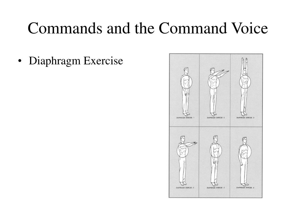 PPT Introduction to Drill and Ceremonies PowerPoint Presentation