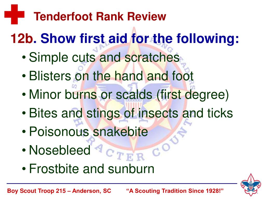 PPT Merit Badge ID 8 Requirement 1 Boy Scout Requirements (33215