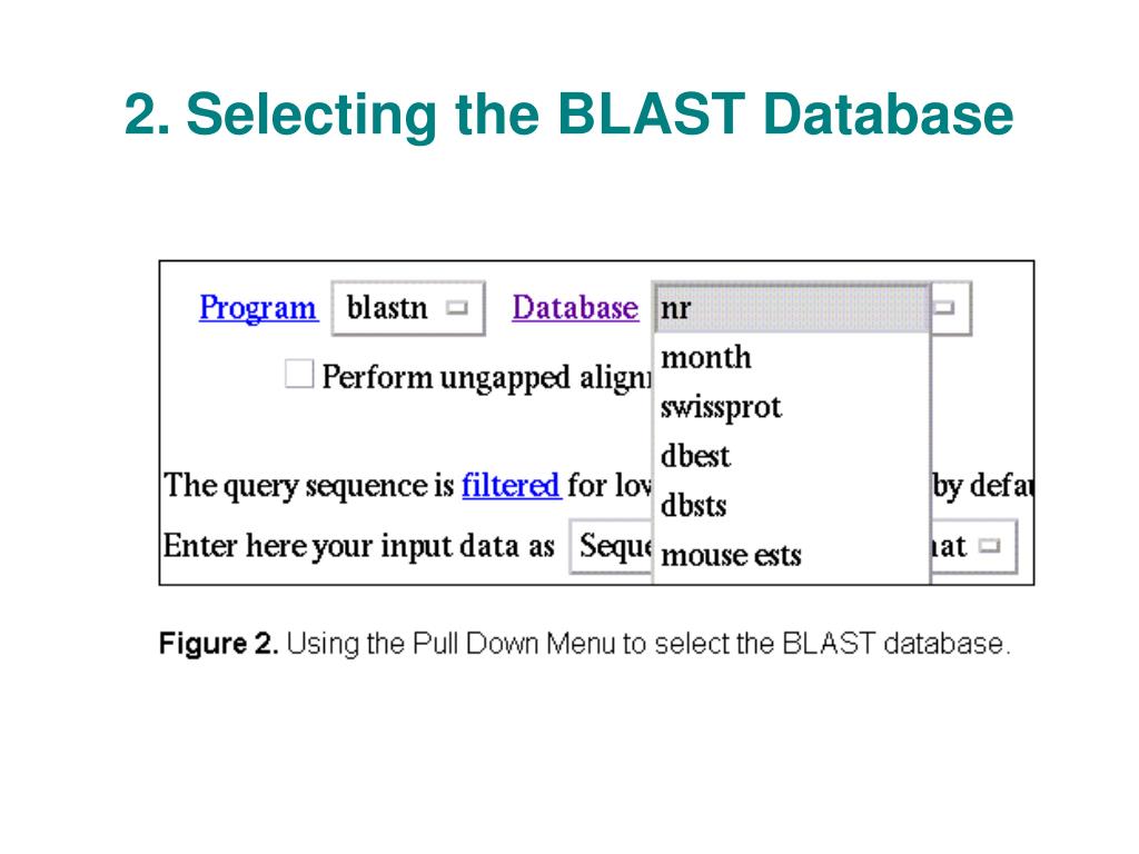PPT Sequence Databases PowerPoint Presentation, free download ID757811