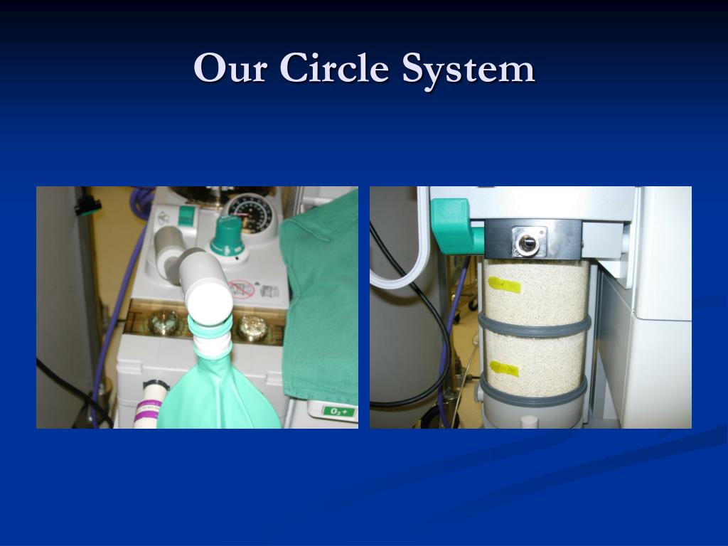 PPT Breathing Circuits PowerPoint Presentation ID758829