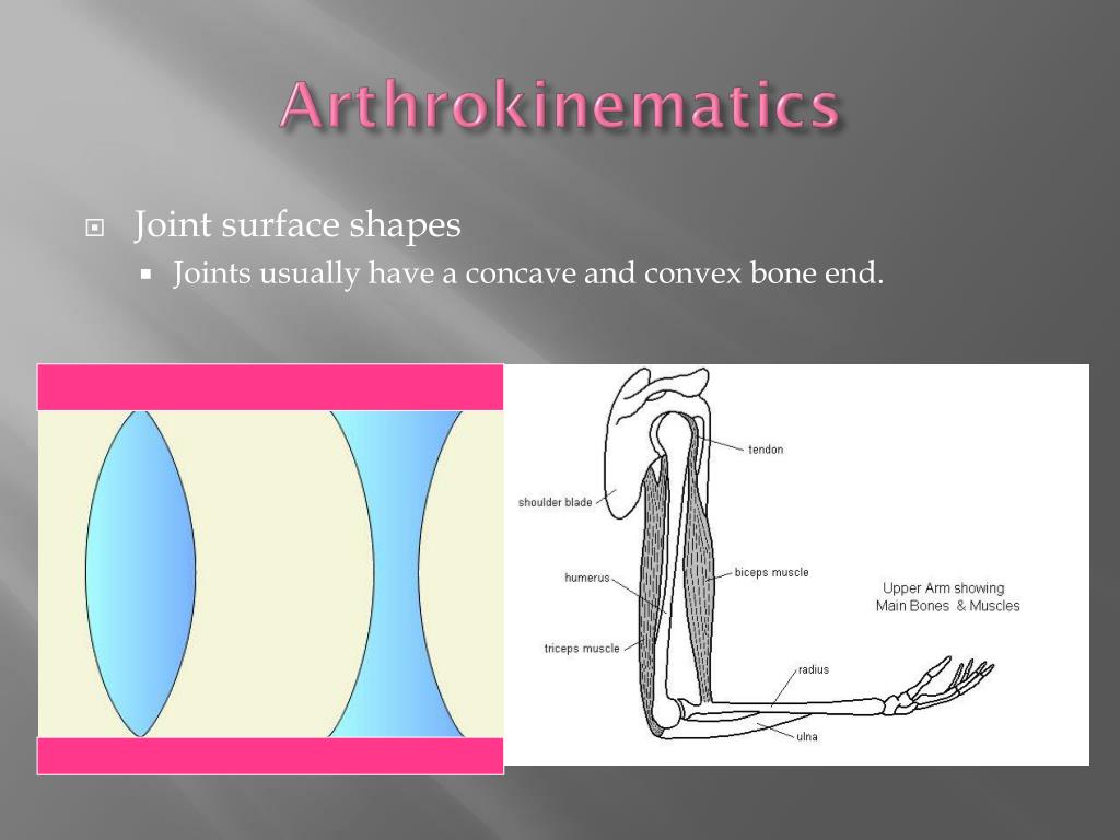 PPT Arthrokinematics PowerPoint Presentation ID760574