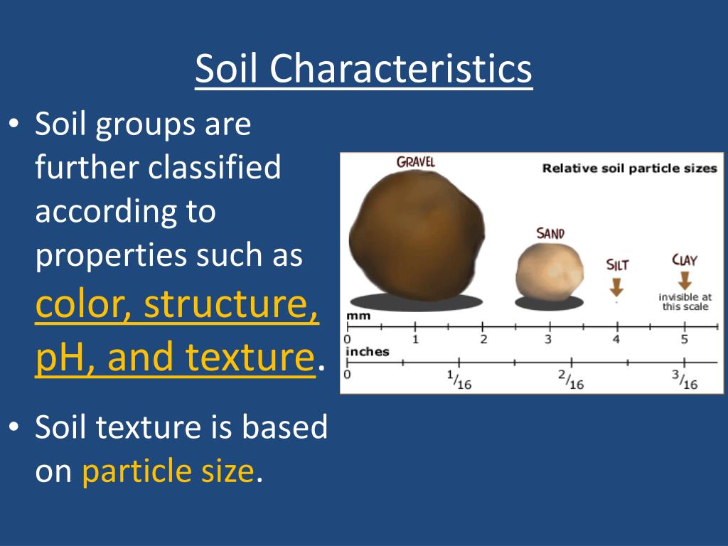 PPT Chapter 12 Soil and Agriculture PowerPoint Presentation, free