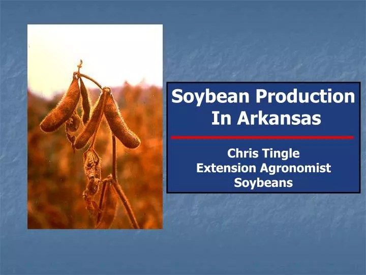 PPT Soybean Production In Arkansas Chris Tingle Extension Agronomist